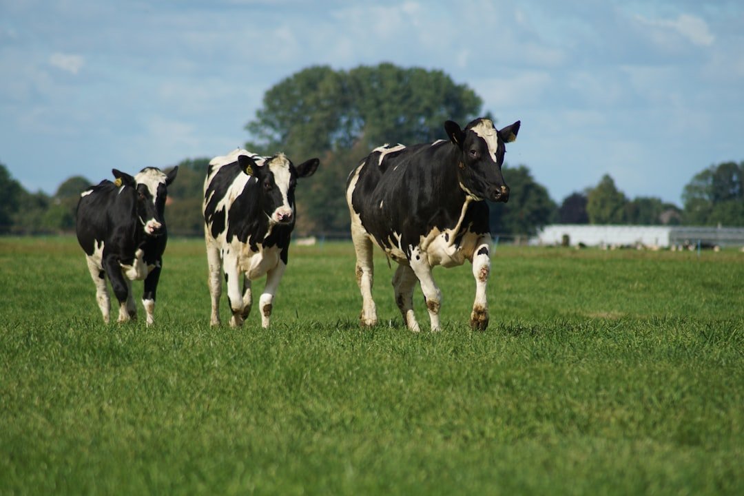 Key Sectors Targeted: Dairy, Alcohol, and Beyond  