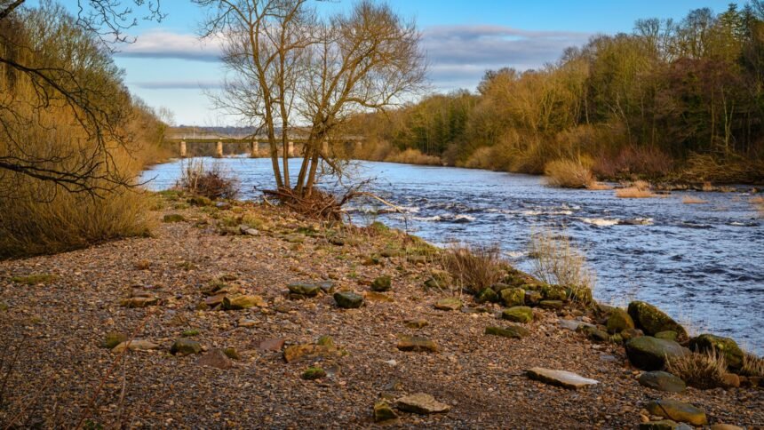 skynews-river-tyne-wylam_7328225