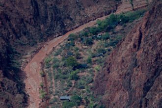 01wea-grandcanyon-mhtl-mediumSquareAt3X