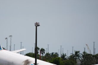 08nat-miami-hktj-mediumSquareAt3X