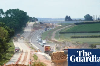3123