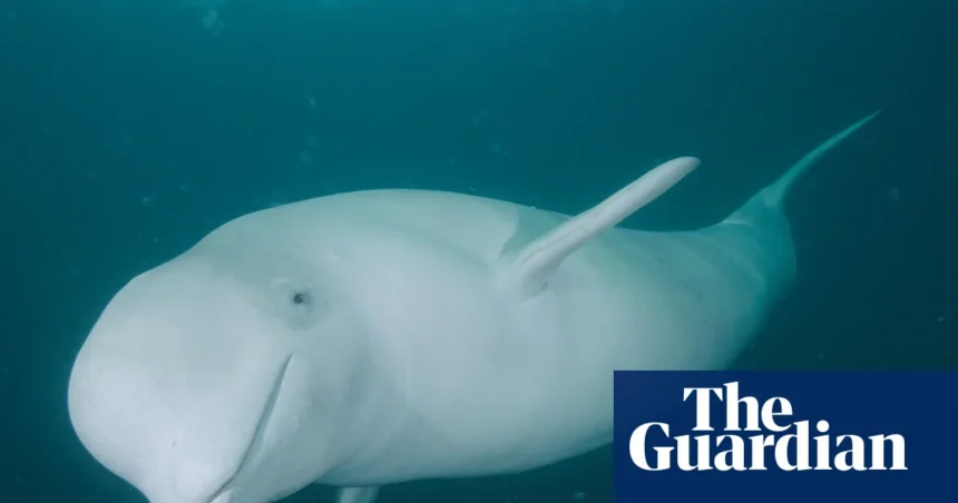 4192