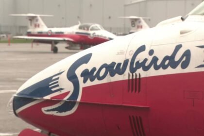 STILL_SNOWBIRDPILOT_OSHEA