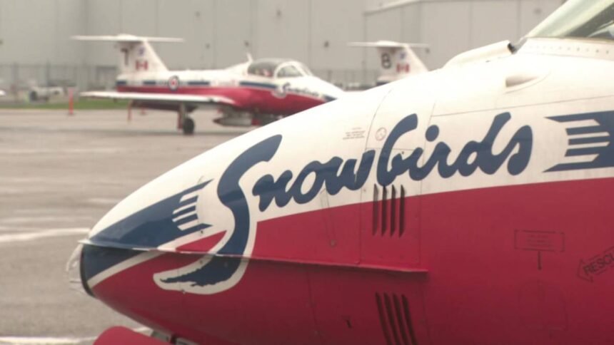 STILL_SNOWBIRDPILOT_OSHEA