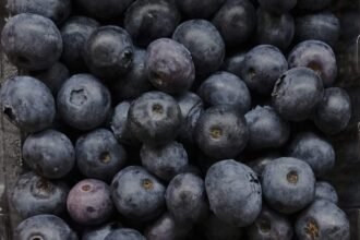 fda-blueberry-recall-e1787315348809