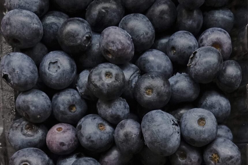 fda-blueberry-recall-e1787315348809