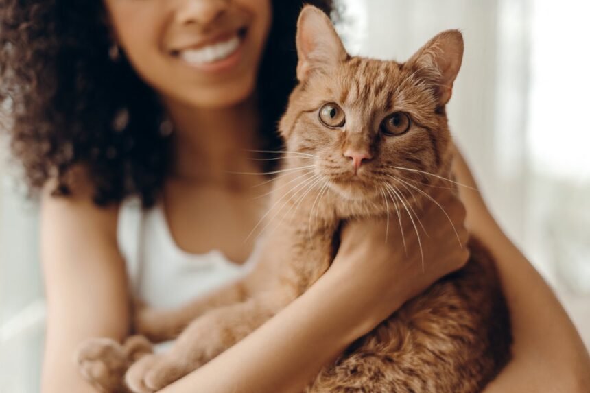 iStock-2227972806-1