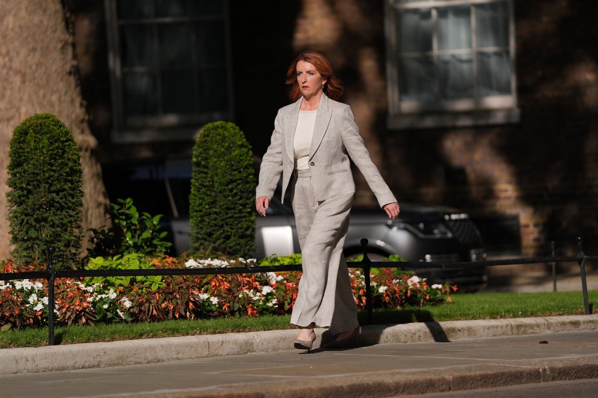 Ministers defend Britain’s AI safeguards
