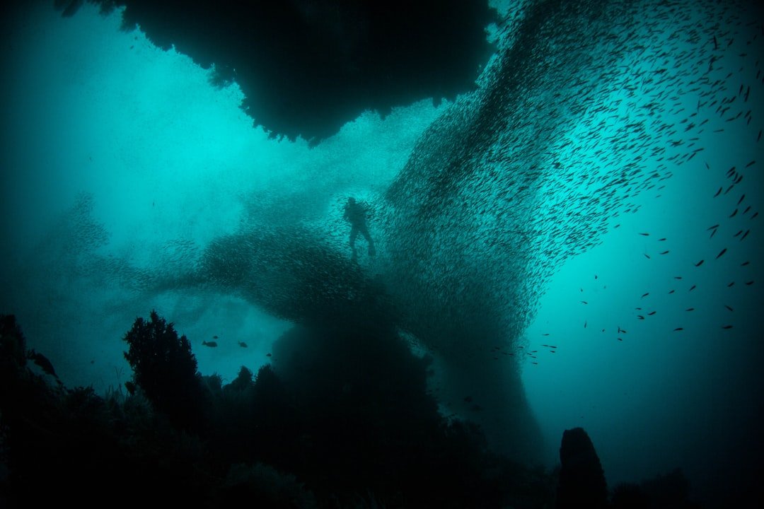 Underwater Living Enters the Brief