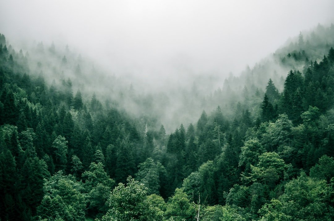 From Hobbyists to Climate Advocates