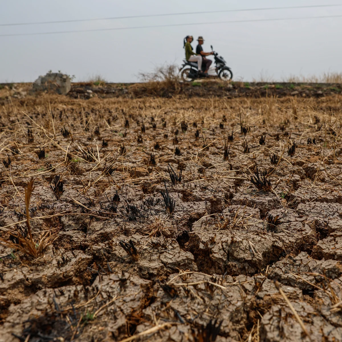 Policy Imperatives And The Case For Immediate Action