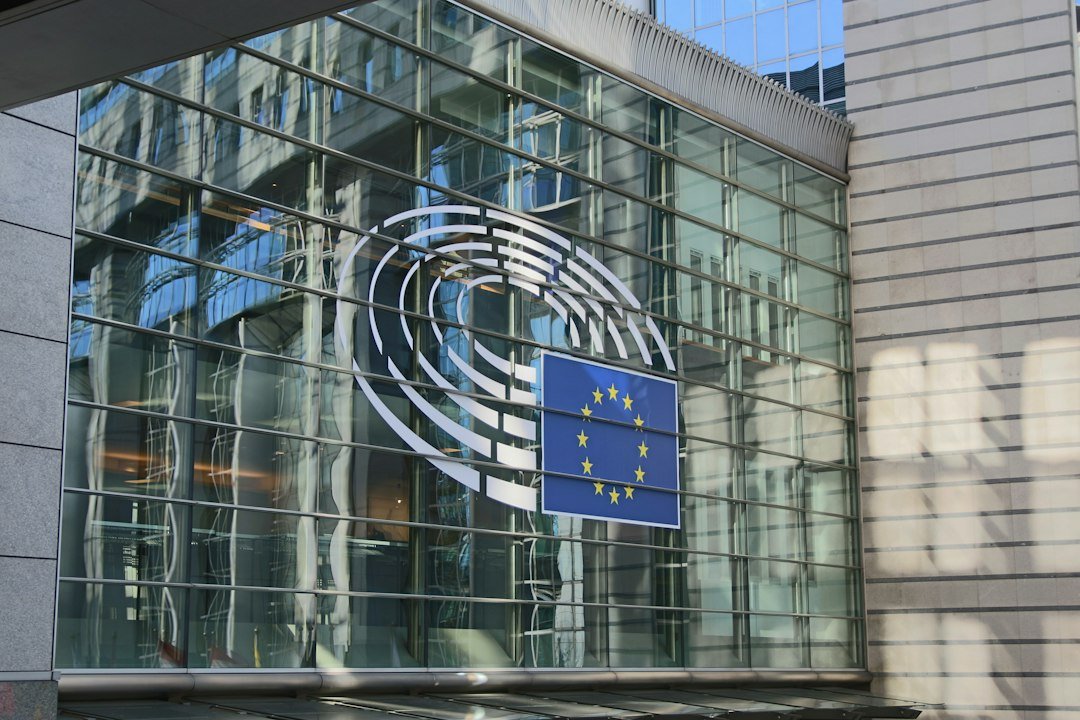The European Union: A Mature Ally in Transition