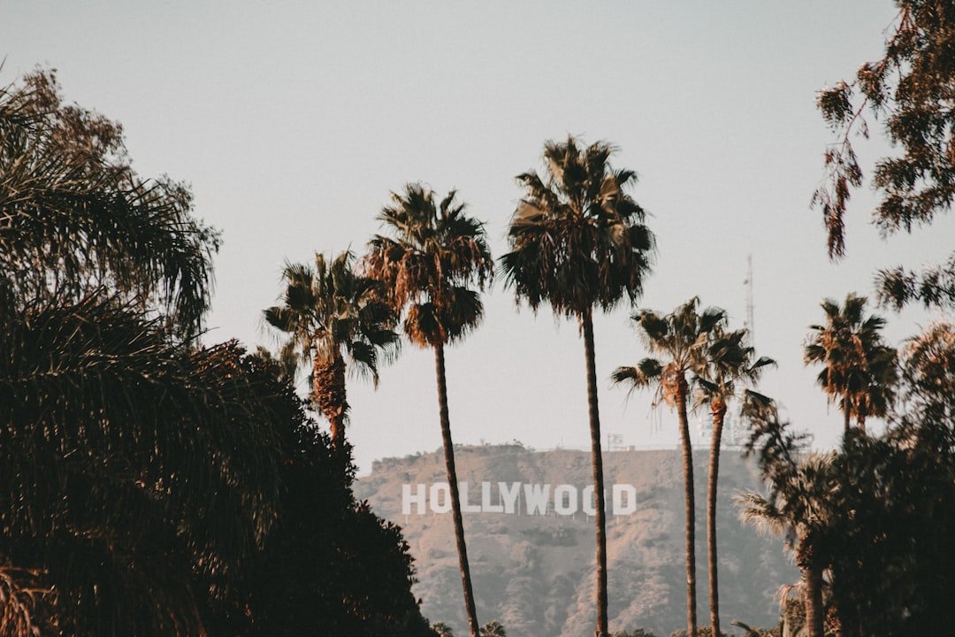 Hollywood Honours Their Hero