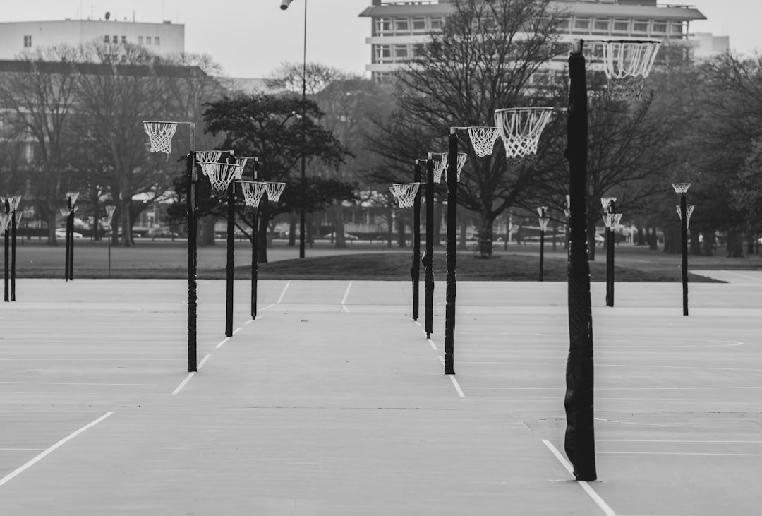 Looking Ahead: Court Proceedings and Implications