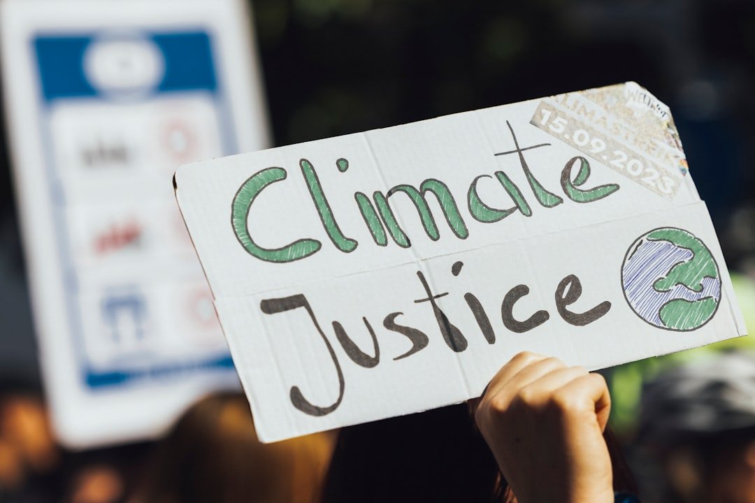 National Implications for Climate Policy