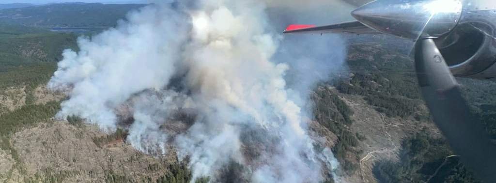 Response Efforts and Containment Strategy