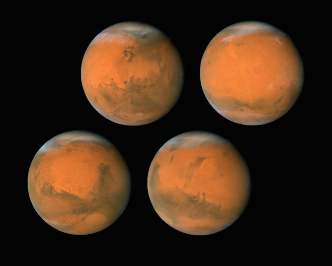 From Memes to Mars: Musk’s Public Persona