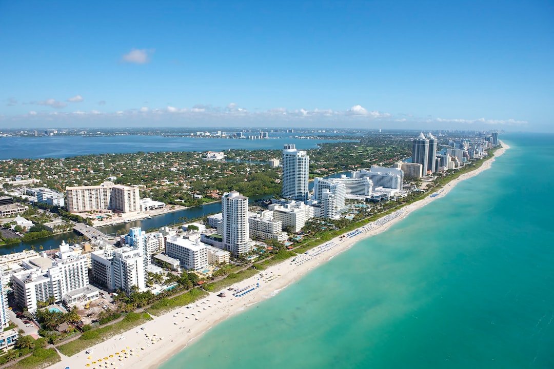 The Florida Plea Deal