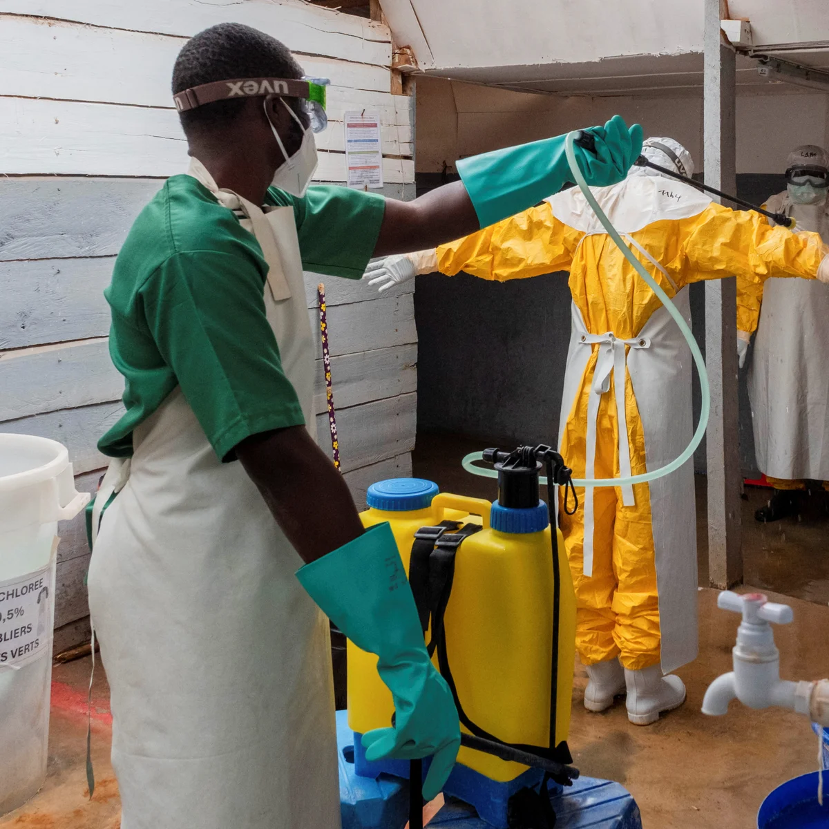 International Response and the Road Ahead