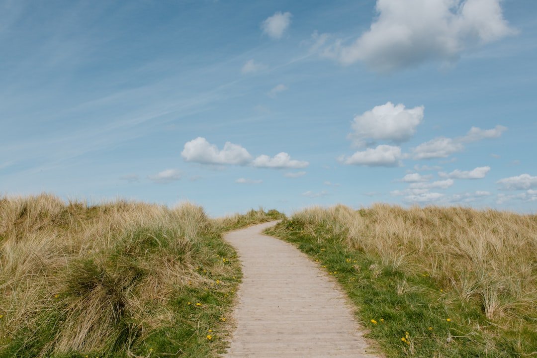 Broader Implications and the Path Forward