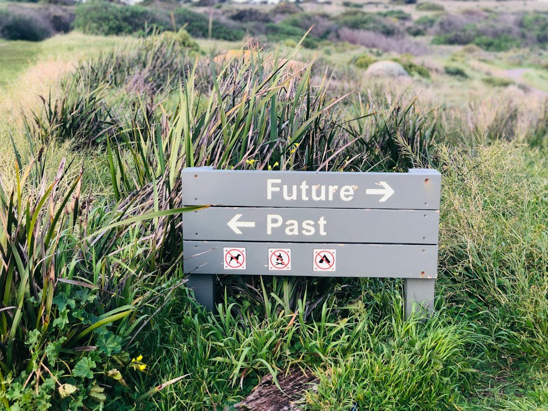 Future Outlook