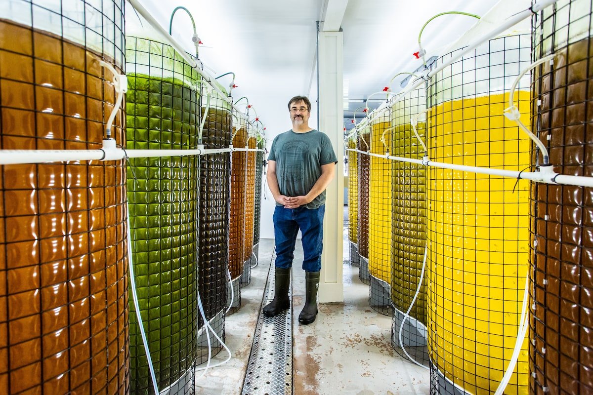 Genetic Solutions: The Science Behind Resistance  