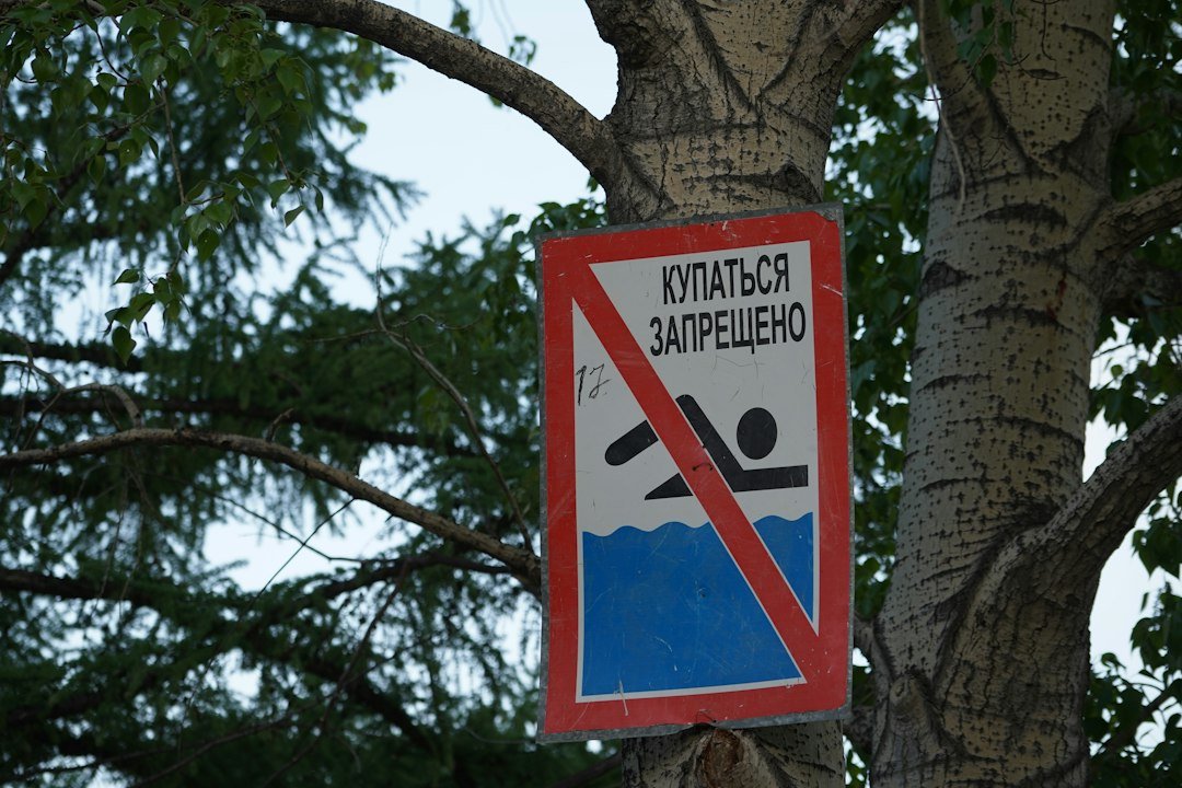 Nature of the Restrictions  