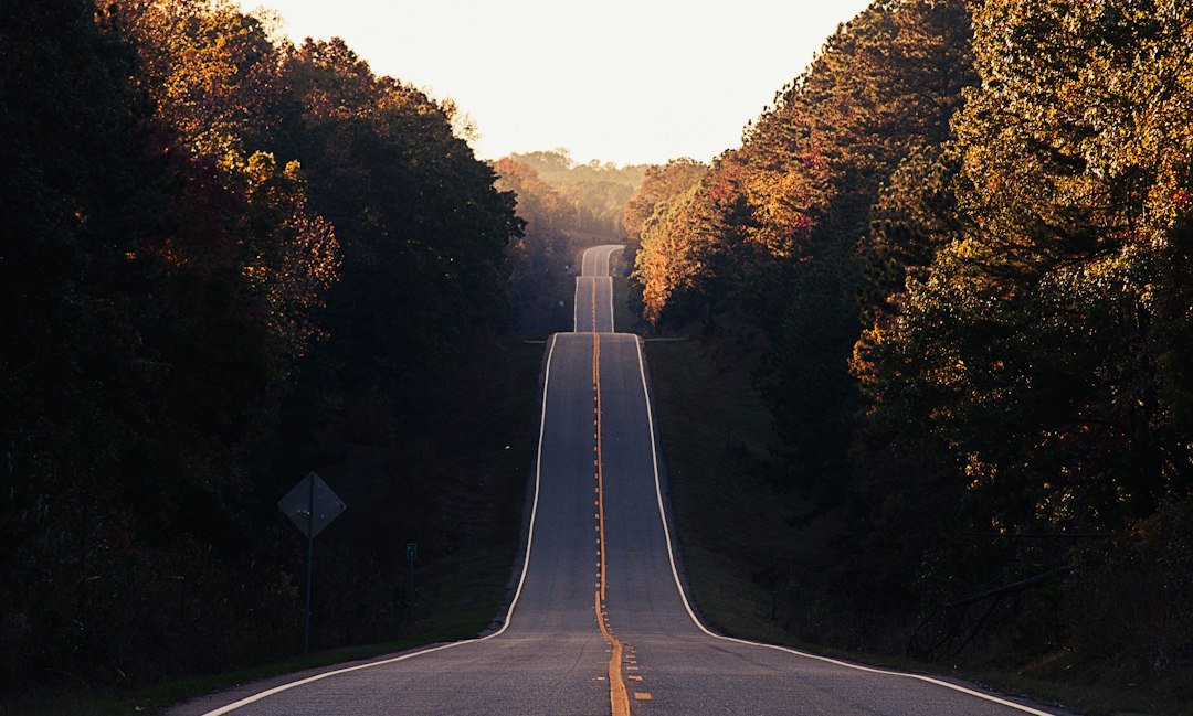 The Road to Leadership