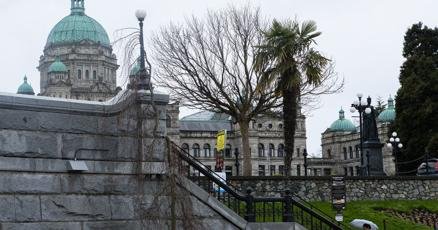 Impact on the legislature