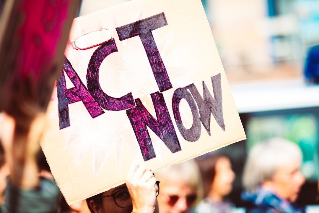 The Activist Verdict