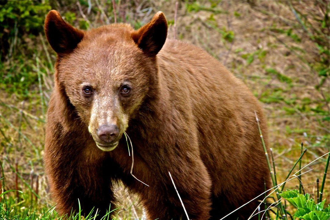 Communities Bear the Brunt