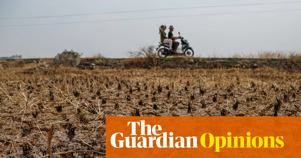 A Human Toll Of Millions Of Deaths And Billions Hungering