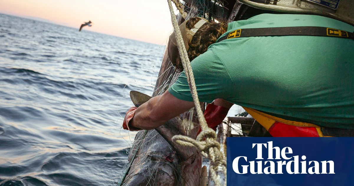 Calls to Prioritise Anglers Over Science