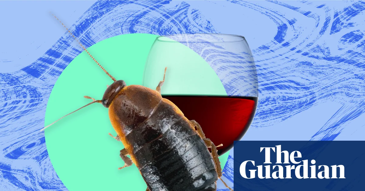The Heating Crisis and the Return of the Roaches