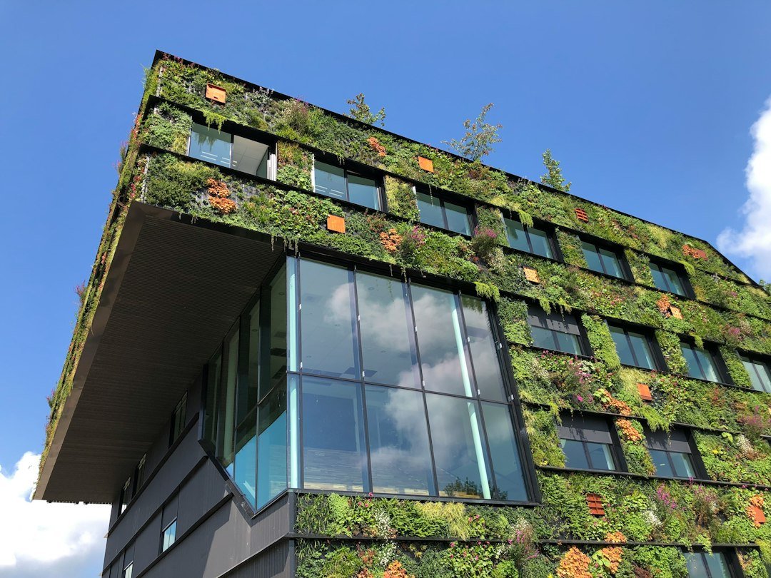 Building a Sustainable Future