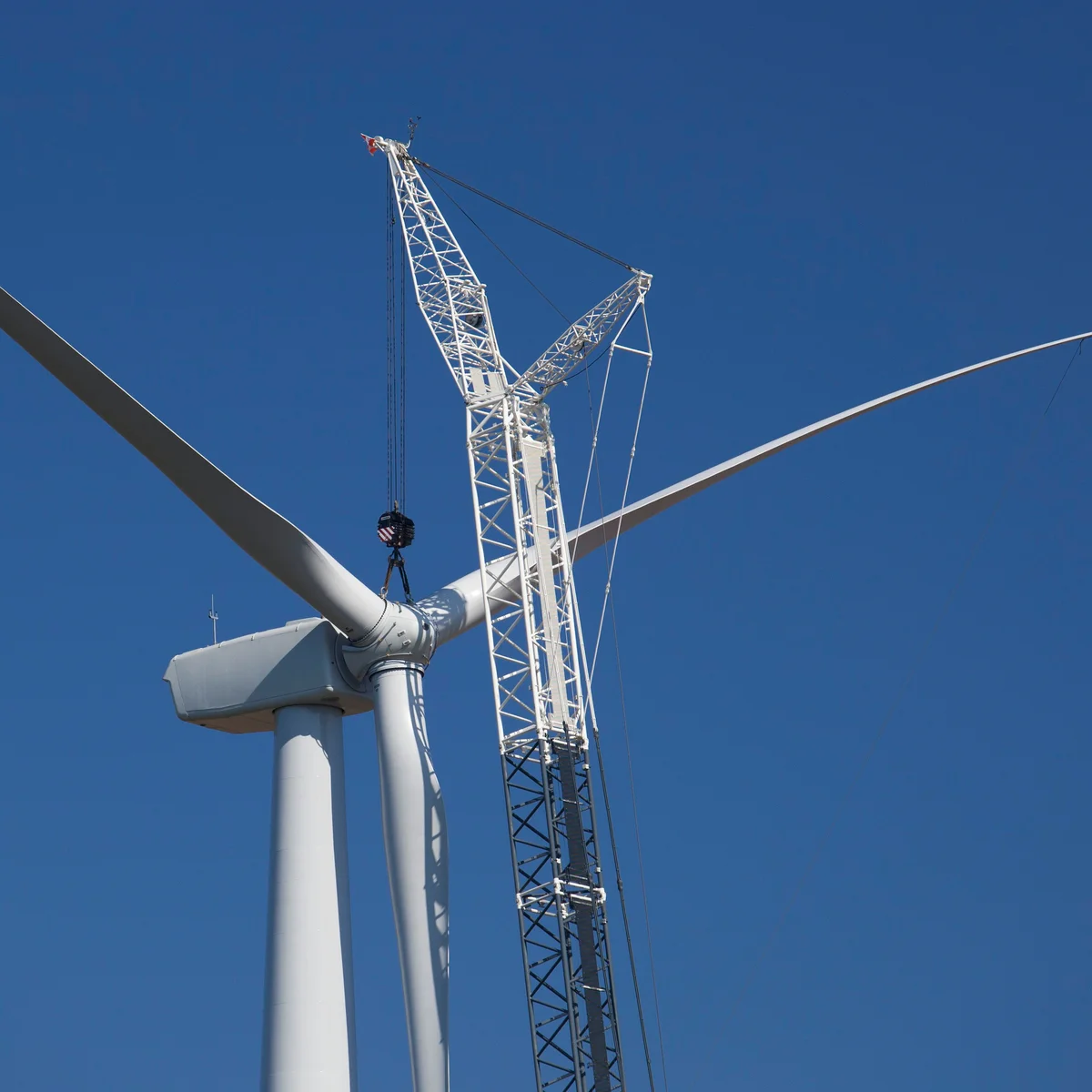 Broader Industry Response and Future Outlook