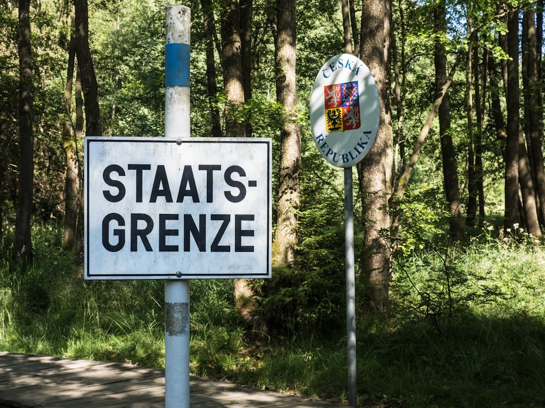 AfD Seizes Key German State Election in Historic Triumph