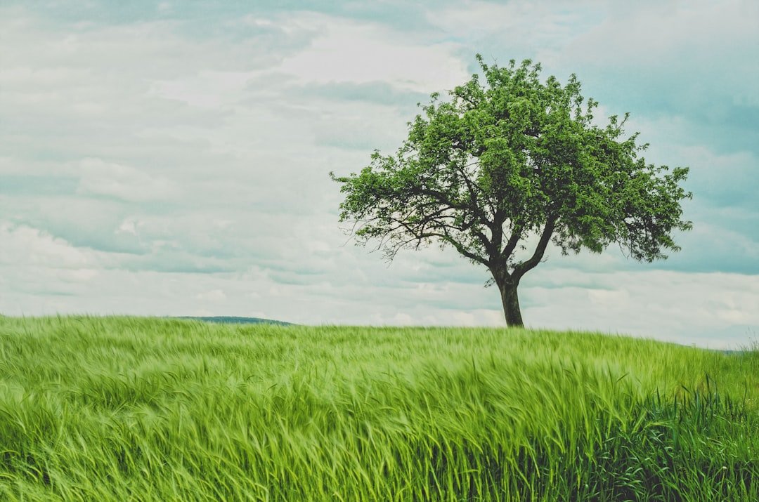 Environmental Implications