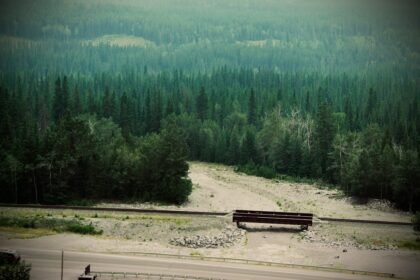 photo-1644381692557-c0653b084e86