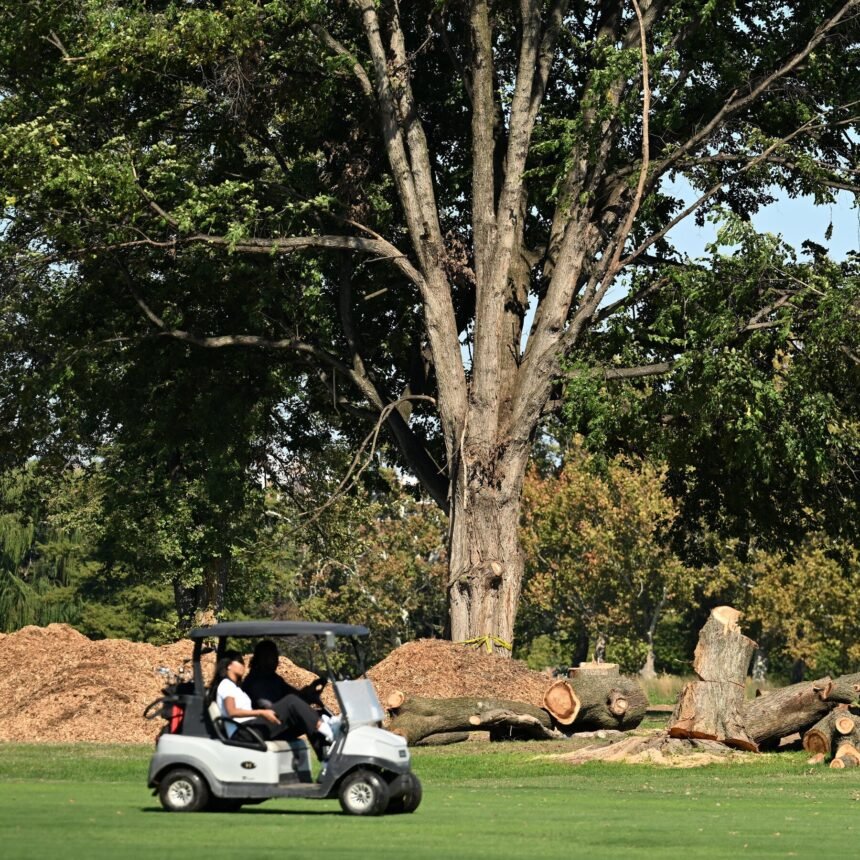 00dc-golf-mjgw-mediumSquareAt3X