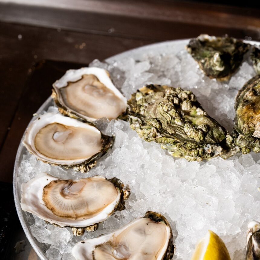 13FD-oysters-03-qvkp-mediumSquareAt3X