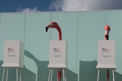 23pol-weird-florida-hkzm-mediumSquareAt3X
