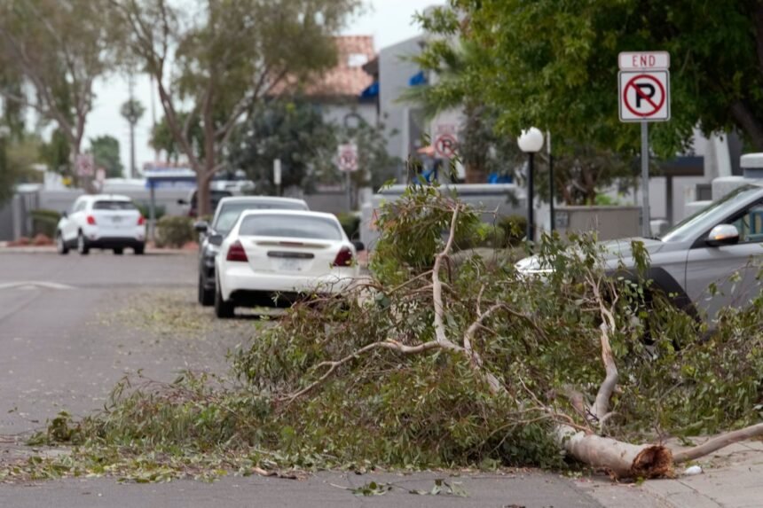 Extreme_Weather_Arizona_45666