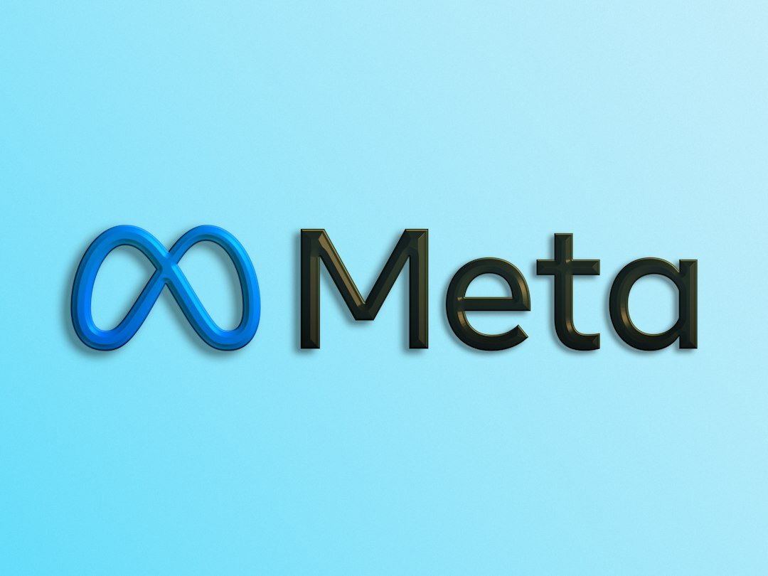 Shaping Meta's Regulatory Response