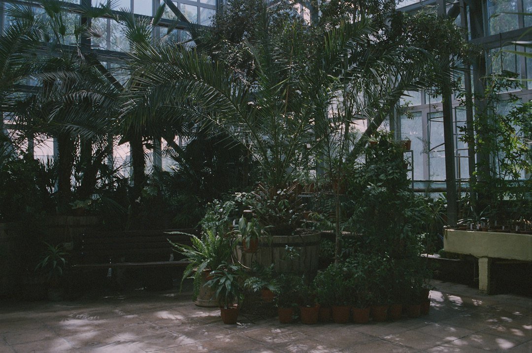 Outdoor spectacle, indoor mindset