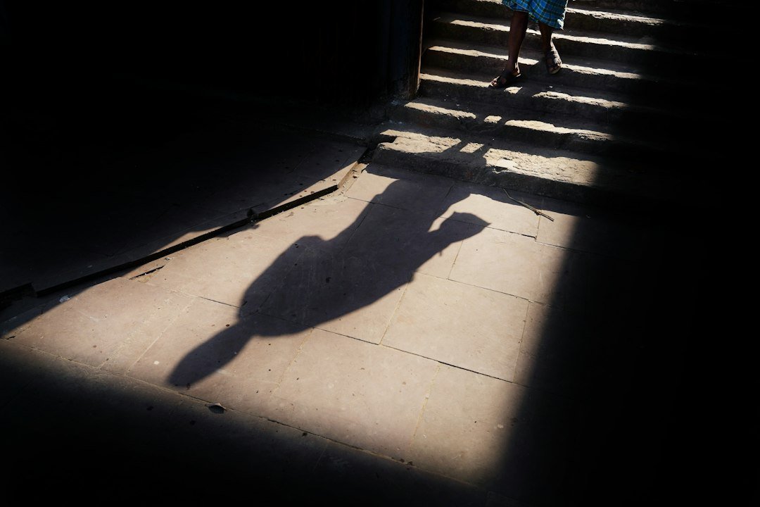 The Shadow of the CIA Programme
