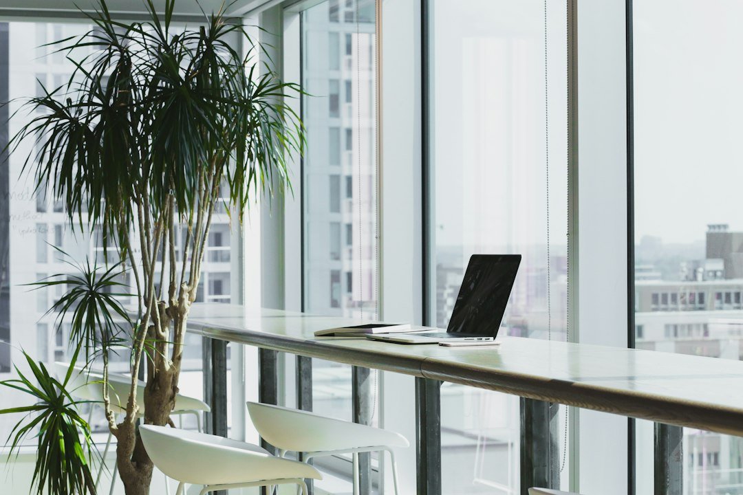 The Business Background