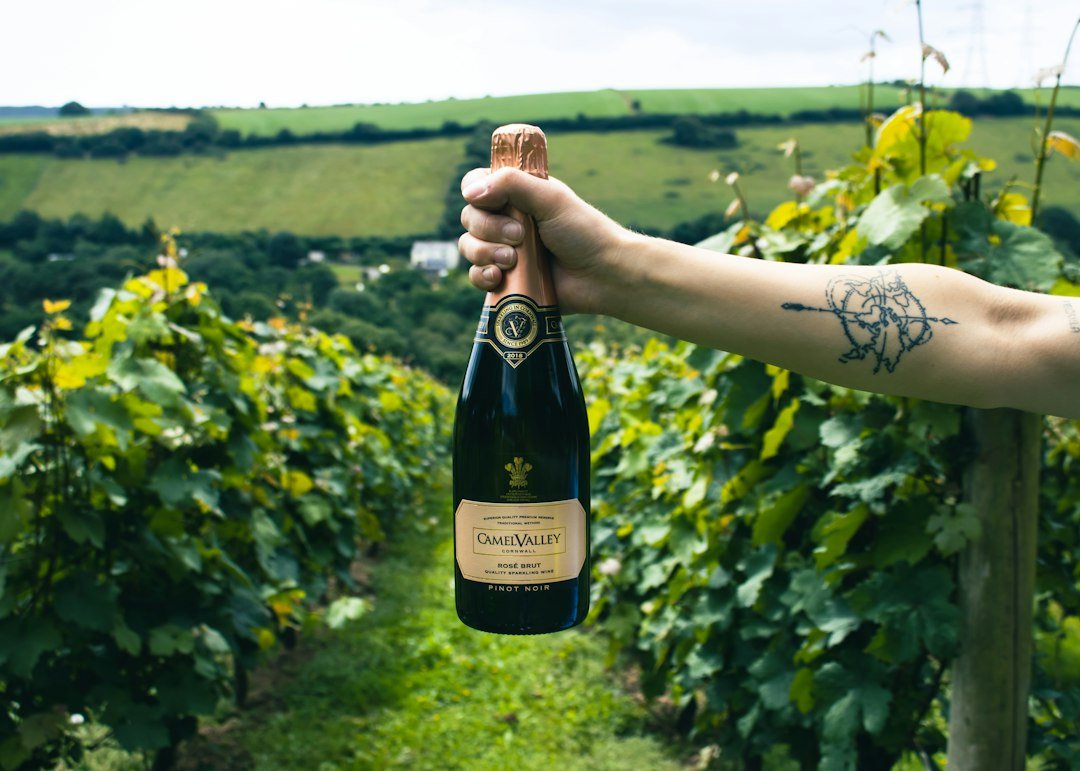 Champagne’s Spring Update Under Scrutiny