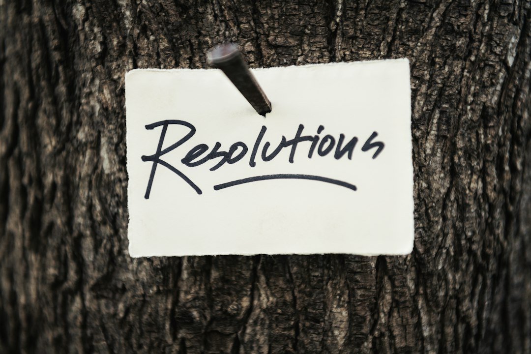 Outlook and Potential Resolutions