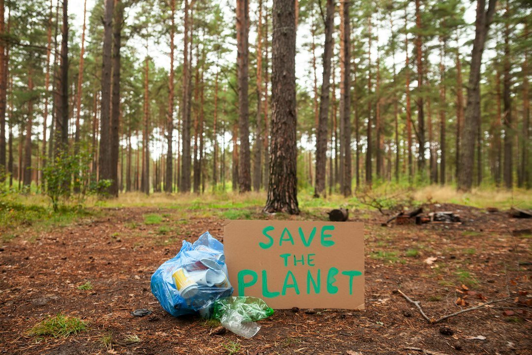 Environmental Impact Under Scrutiny